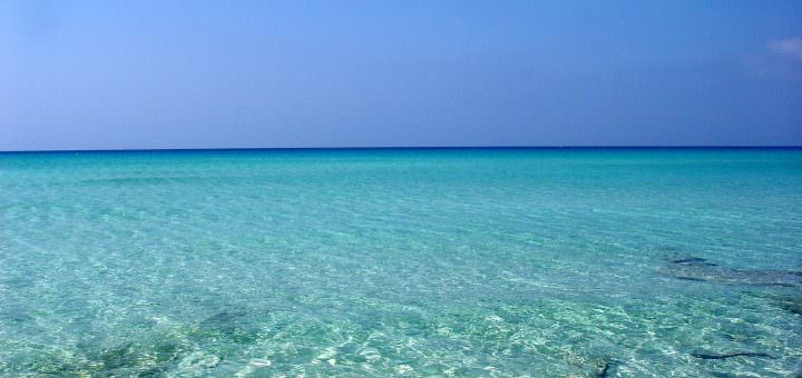 Mare di Formentera