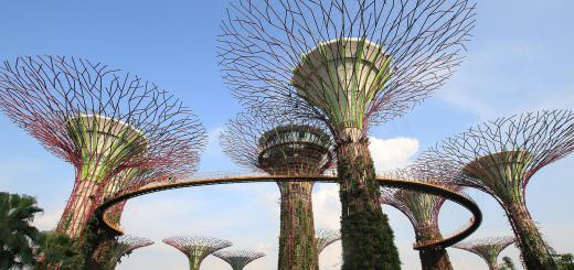 I Gardens by the Bay